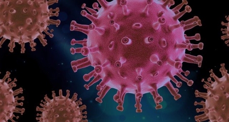 Corona Virus